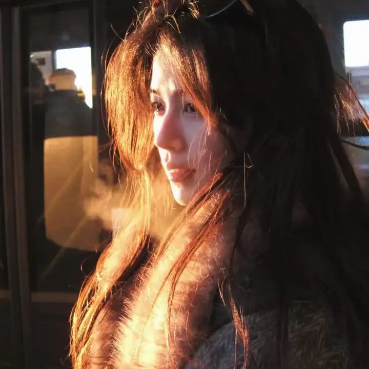 警察与女兵国语